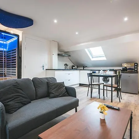 Loft Sauna Hammam Hydromassage Appartement