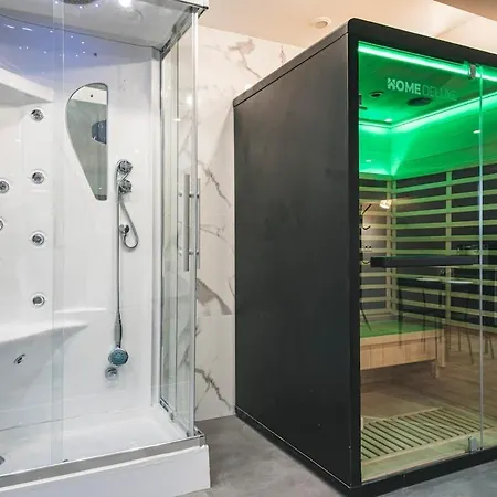 Loft Sauna Hammam Hydromassage Appartement Reims