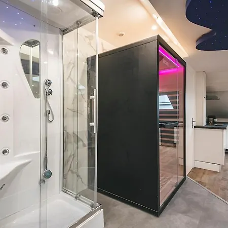 Loft Sauna Hammam Hydromassage Appartement