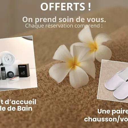 Appartement Loft Sauna Hammam Hydromassage *