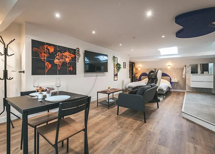 Loft Sauna Hammam Hydromassage Appartement Reims