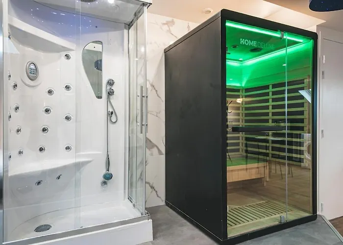 Loft Sauna Hammam Hydromassage Appartement Reims