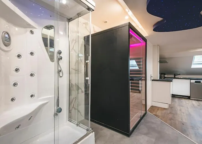 Loft Sauna Hammam Hydromassage Appartement